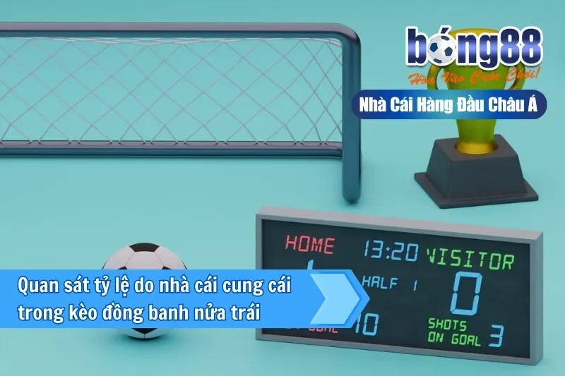 Quan sát tỷ lệ do nhà cái cung cái trong kèo đồng banh nửa trái 