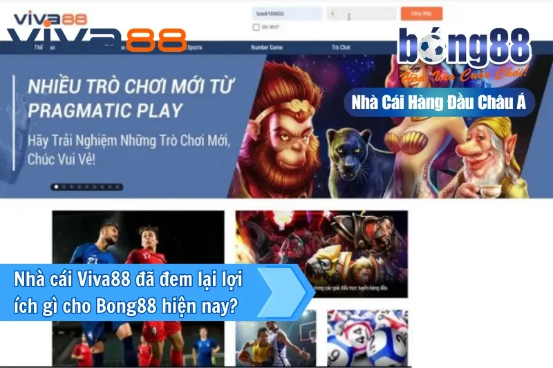 Đại Lý Viva88 5 Thế mạnh vững chắc cho Bong88 khi đại lý là Viva88