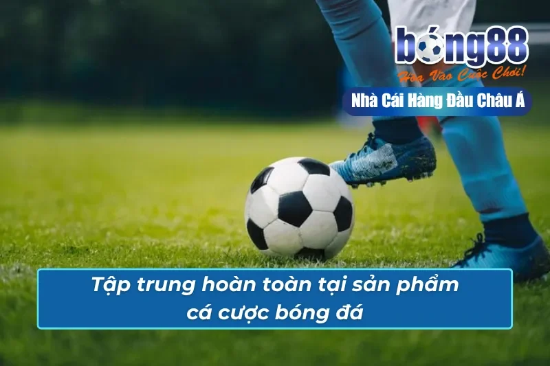 Bong88 tập trung phát triển chủ lực cá cược bóng đá